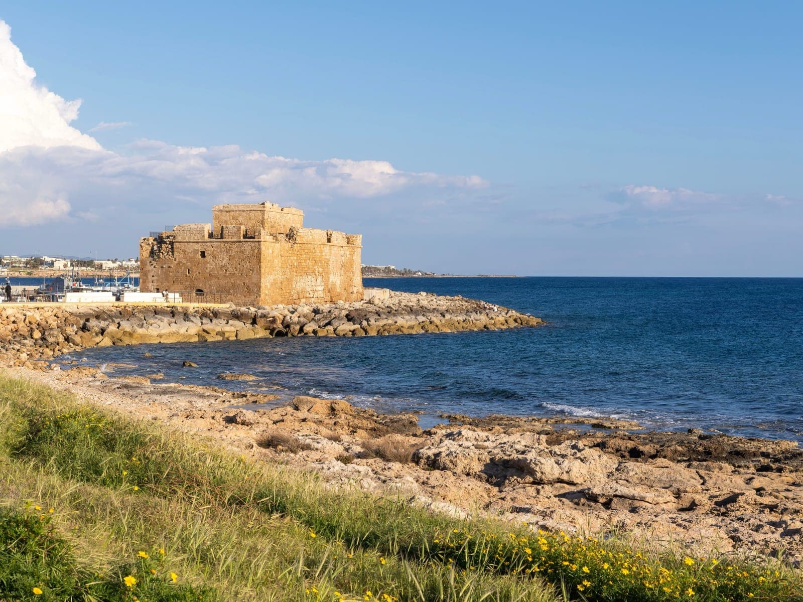 Paphos Castle, a square stone fort at the end of the harbour breakwater, in late-afternoon light with the sea beyond and wildflowers on the shore